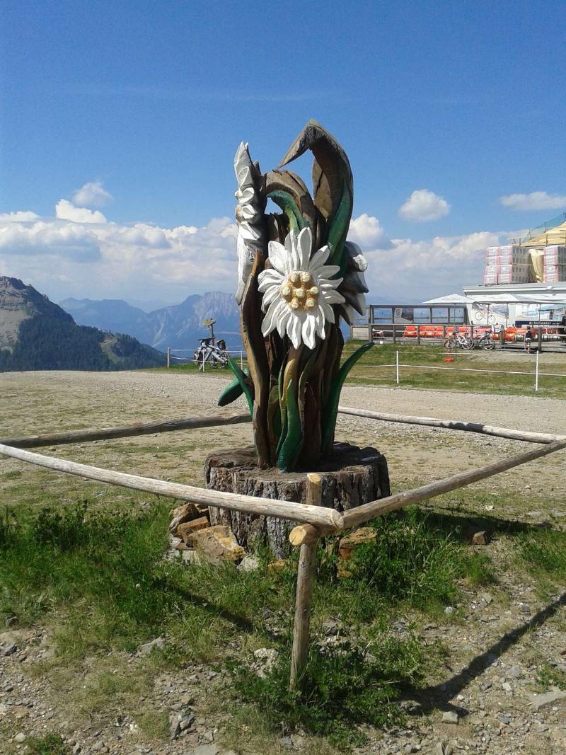 Alpenhaeuser Marcius Sonnenalpe Nassfeld Eksteriør bilde